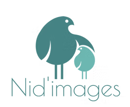 Cliquez ici pour consulter l'aperçu