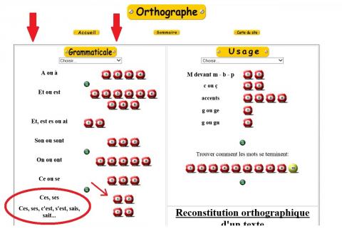 Exercices D'orthographe | BDRP